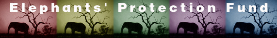 Elephant's protection fund
