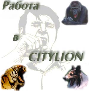 Rabota v Citylion